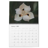 Flora 18-Monats-Kalender Kalender (Jan 2027)
