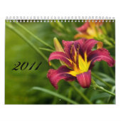Flora 2011 kalender (Titelbild)