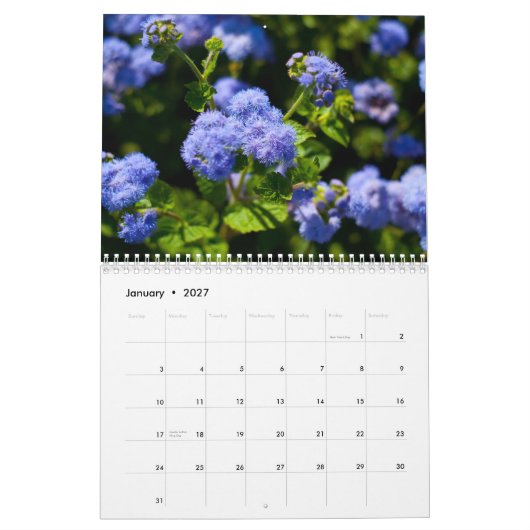 Flora 2011 kalender (Jan 2027)