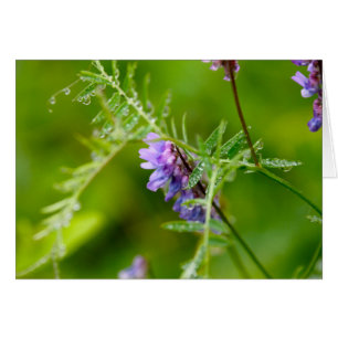 Flora auf großartigem Manan