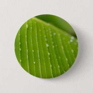 Flora Dominica 2 Button
