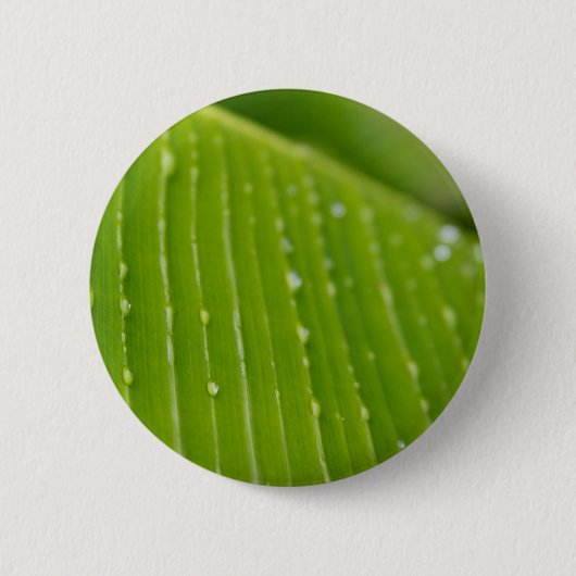 Flora Dominica 2 Button (Vorderseite)