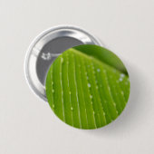 Flora Dominica 2 Button (Vorne & Hinten)