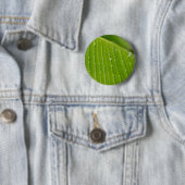 Flora Dominica 2 Button (Beispiel)
