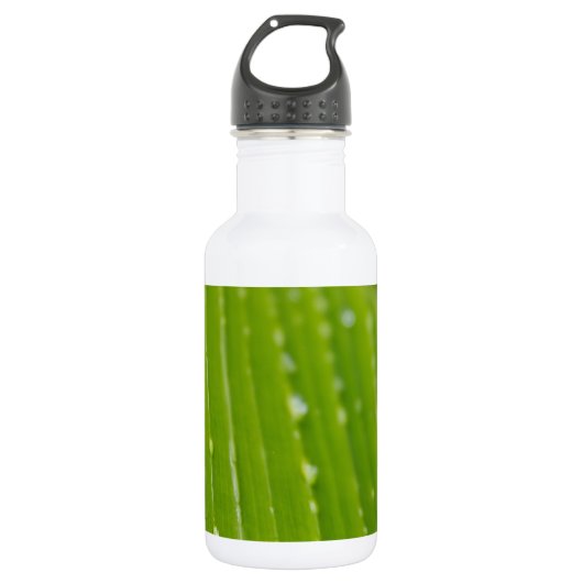 Flora Dominica 2 Edelstahlflasche (Vorderseite)