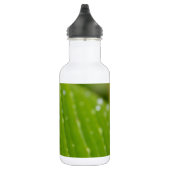 Flora Dominica 2 Edelstahlflasche (Rechts)