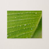 Flora Dominica 2 Puzzle (Horizontal)