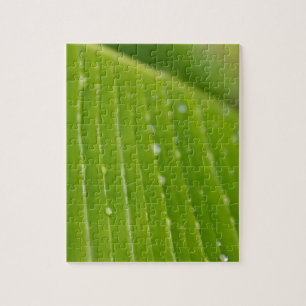 Flora Dominica 2 Puzzle