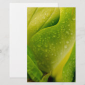 Flora Dominica 3 Briefpapier (Vorne/Hinten)
