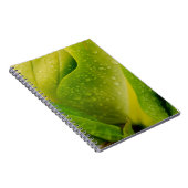Flora Dominica 3 Notizblock (Rechte Seite)