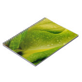Flora Dominica 3 Notizblock (Linke Seite)