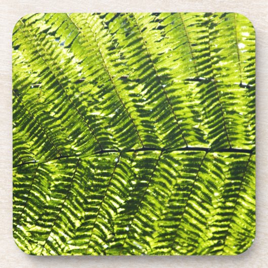 Flora Dominica 5 Getränkeuntersetzer (Vorderseite)