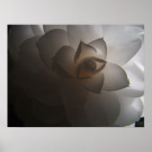 Flora Dramatica Poster (Vorne)