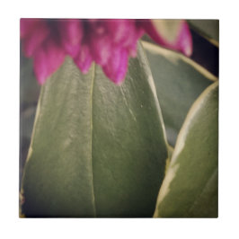 Flora-Fliese Daphne Fliese