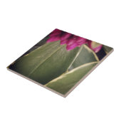 Flora-Fliese Daphne Fliese (Seite)