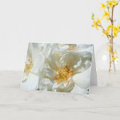 Flora-Fotokarte von Sunny White Wild Rose Karte (Gelbe Blume)