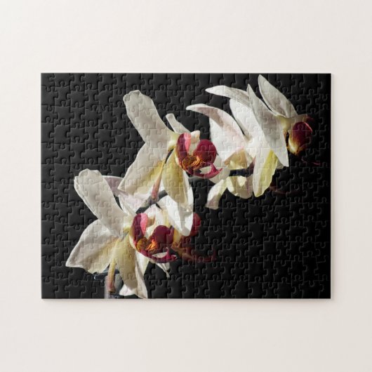 Flora Highlights Weißer Phalaenopsis Orchideen Puzzle (Horizontal)