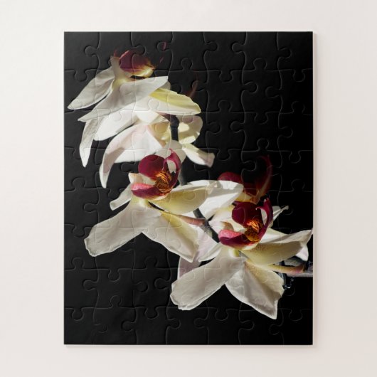 Flora Highlights Weißer Phalaenopsis Orchideen Puzzle (Vertikal)