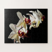 Flora Highlights Weißer Phalaenopsis Orchideen Puzzle (Horizontal)