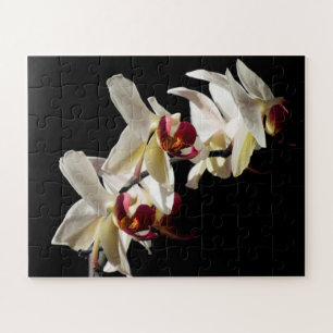 Flora Highlights Weißer Phalaenopsis Orchideen Puzzle