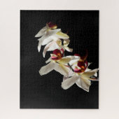 Flora Highlights Weißer Phalaenopsis Orchideen Puzzle (Vertikal)