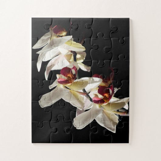Flora Highlights Weißer Phalaenopsis Orchideen Puzzle (Vertikal)