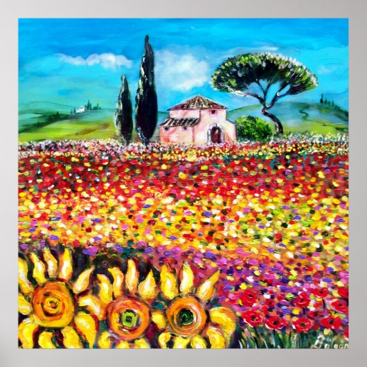 FLORA IN DER TUSKANA/ Felder, Klatschmohn und Sonn Poster (Vorne)