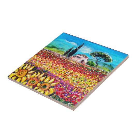 FLORA IN DER TUSKANIE/ Felder, Pfeffer und Sonnenb Fliese (Seite)