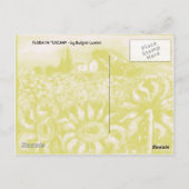 FLORA IN DER TUSKANIE/ Felder, Pfeffer und Sonnenb Postkarte (Rückseite)
