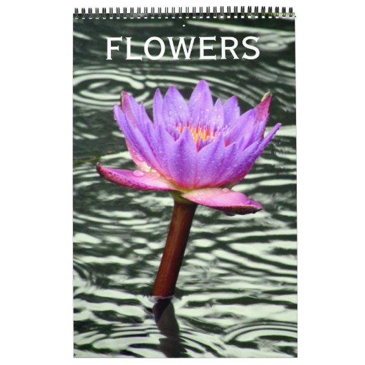 Flora Kalender (Titelbild)