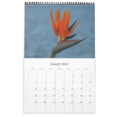 Flora Kalender (Jan 2026)