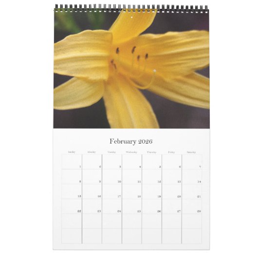 Flora Kalender (Feb 2026)