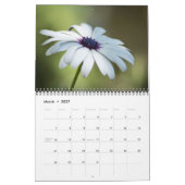 FLORA-KALENDER 2013 DURCH MAYES %PIPE% FOTOS KALENDER (Mär 2027)
