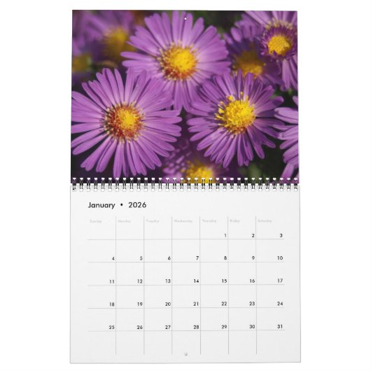 Flora - Kalender 2018 (Jan 2026)