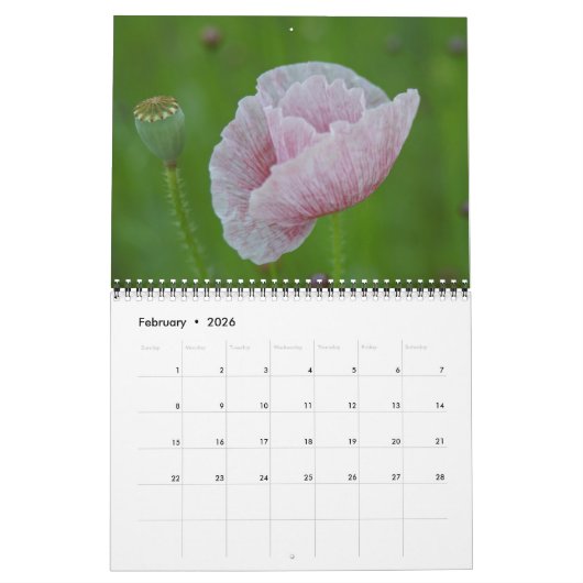 Flora - Kalender 2018 (Feb 2026)
