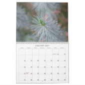 Flora Macro Fotokalender Kalender (Jan 2027)