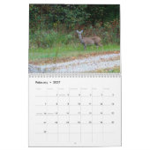 Flora und Fauna 2013 Kalender (Feb 2027)