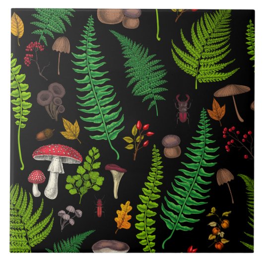 Flora und Fauna im Forstland Fliese (Vorderseite)