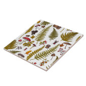 Flora und Fauna im Waldgebiet 2 Fliese (Seite)