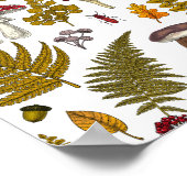 Flora und Fauna im Waldgebiet 2 Poster (Ecke)