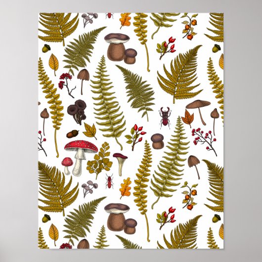 Flora und Fauna im Waldgebiet 2 Poster (Vorne)