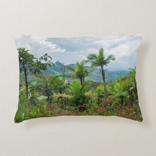 Flora und Landschaft der Luquillo Dekokissen