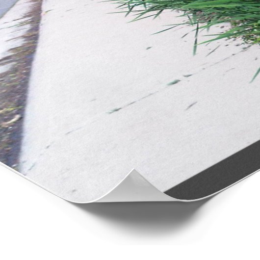 Floral Along Path Poster (Ecke)