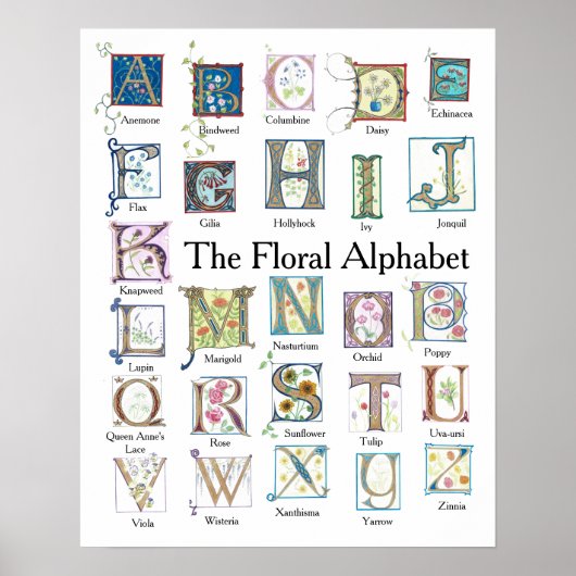 Floral Alphabet Poster (Vorne)