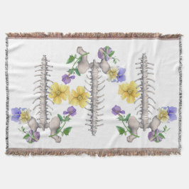 Floral Anatomy - Vertebrae, Hip Bone Decke