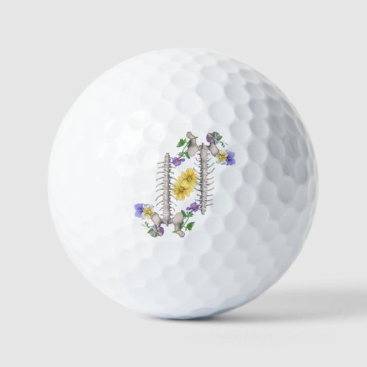 Floral Anatomy - Vertebrae, Hip Bone Golfball (Vorderseite)