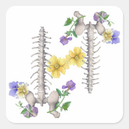 Floral Anatomy - Vertebrae, Hip Bone Quadratischer Aufkleber