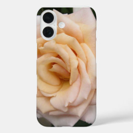Floral Blackberry fett mit Romantischer Rose iPhone 16 Hülle
