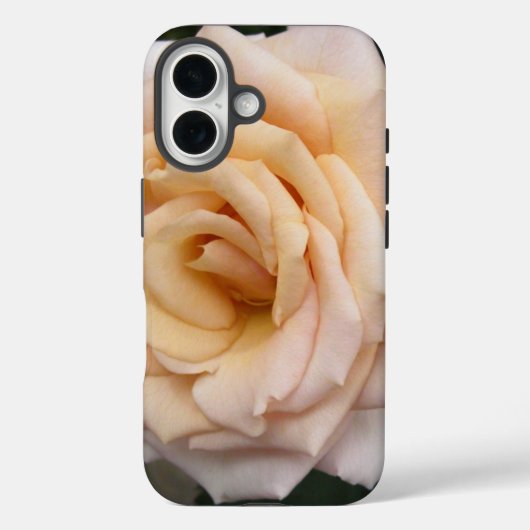 Floral Blackberry fett mit Romantischer Rose Case-Mate iPhone Hülle (Rückseite)