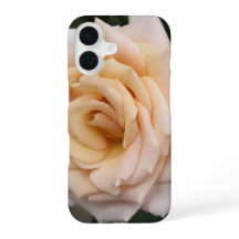 Floral Blackberry fett mit Romantischer Rose
